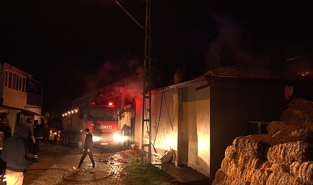 Müstakil evde çıkan yangın söndürüldü