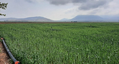 Süne Sürvey çalışmalarına başlanıldı