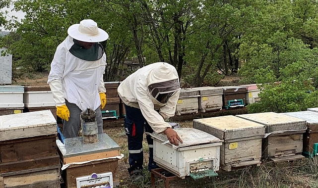 Arıcıların Sezonu Başlıyor
