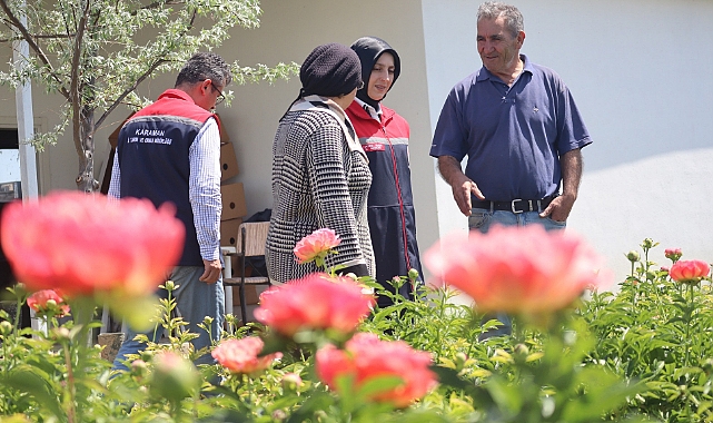 Karaman’da Yılda 1.5 Milyon Adet Şakayık Çiçeği Üretiliyor