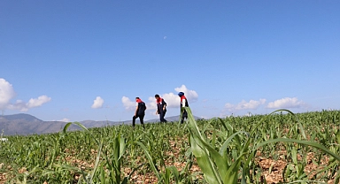 Dolu Yağışı Sonrası Zarar Gören Alanlarda İncelemelerde Bulundular