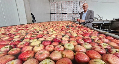 Elmalar üreticinin elinde kalma riski ile karşı karşıya