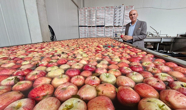 Elmalar üreticinin elinde kalma riski ile karşı karşıya