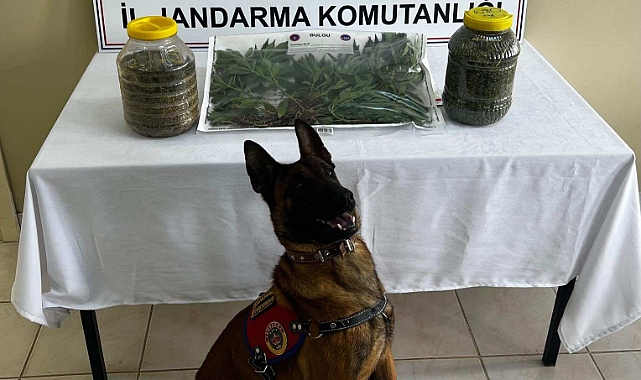 Erek'ten Kaçamadı!