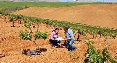 İl Tarım ve Orman Müdürlüğü personelleri sahada çalışmalarını sürdürüyor