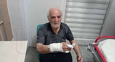 Karaman'da Çoban Köpeğinin Saldırdığı Yaşlı Adam Yaralandı