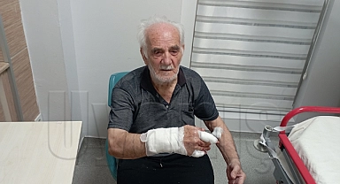 Karaman'da Çoban Köpeğinin Saldırdığı Yaşlı Adam Yaralandı