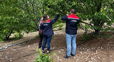 Karaman Tarım ve Orman Müdürlüğü sahada çiftçileri bilgilendirmeye devam ediyor