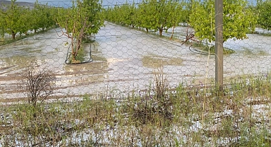 Karaman Ziraat Odası'ndan dolu ve sel baskınından zarar gören çiftçilere önemli uyarı!