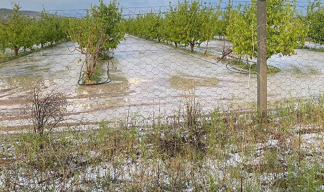 Karaman Ziraat Odası'ndan dolu ve sel baskınından zarar gören çiftçilere önemli uyarı!