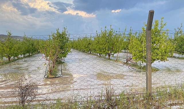 Karaman Ziraat Odası'ndan sel ve dolu afetinde zarar gören çiftçilere uyarı!
