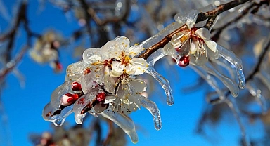 Karamanlılar dikkat! Meteorolojiden zirai don uyarısı!