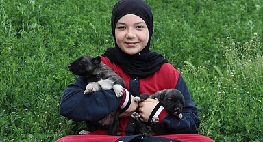 Sahipsiz köpeklerin 17 yerinden ısırdığı Belinay estetik ameliyat olacağı günü bekliyor