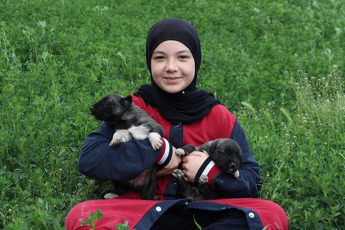 Sahipsiz köpeklerin 17 yerinden ısırdığı Belinay estetik ameliyat olacağı günü bekliyor