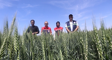 Süne Sürvey çalışmaları devam ediyor