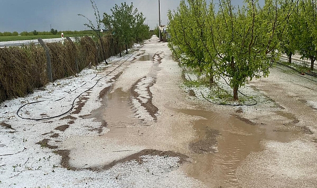 Ziraat Odası, çiftçileri zarar tespiti konusunda uyardı