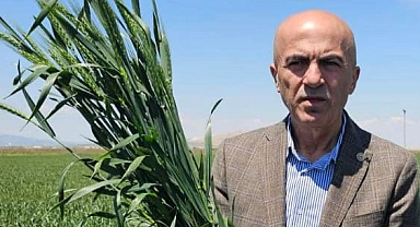 Açıklanan Buğday ve Arpa Fiyatları Üreticiyi tatmin etmedi