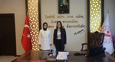 Bulut, Başyayla ve Sarıveliler'de İncelemelerde bulundu