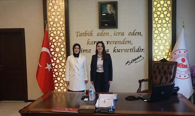 Bulut, Başyayla ve Sarıveliler'de İncelemelerde bulundu