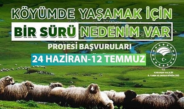 Bulut: “Yeniden Başlıyoruz”
