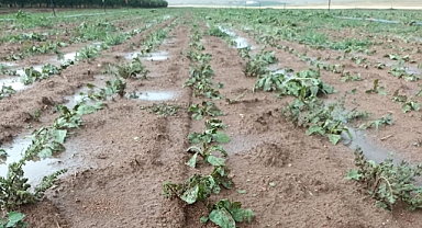 Karalgazi köyünü dolu vurdu