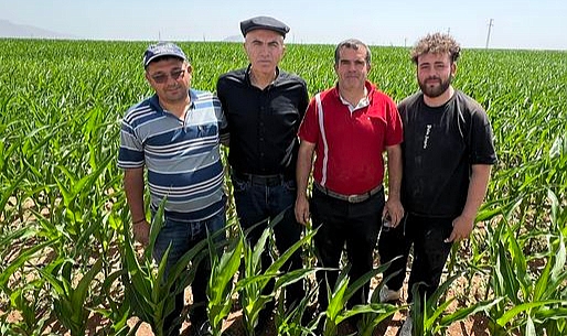 Karaman'da bu yıl 700 bin ton mısır üretilmesi bekleniyor