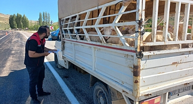 Karaman'da kurban denetimleri devam ediyor