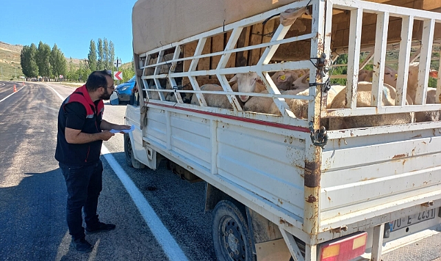Karaman'da kurban denetimleri devam ediyor