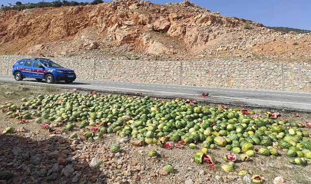Karpuzları yol kenarına döken şahsı Jandarma buldu