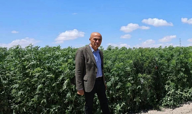 80 yıl sonra kenevir toprakla buluştu. Ancak Karaman'da halen yasak