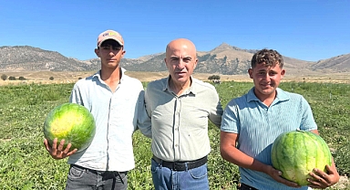 Ata Tohumundan Üretilen Ortaoba Karpuzu Sofralara Gelmeye Hazırlanıyor