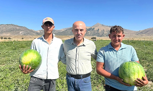 Ata Tohumundan Üretilen Ortaoba Karpuzu Sofralara Gelmeye Hazırlanıyor