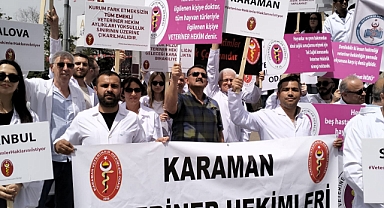 Çağlayan: Sahipsiz hayvan sorunu kısırlaştırma seferberliği ile çözülebilir