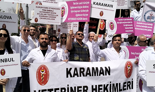Çağlayan: Sahipsiz hayvan sorunu kısırlaştırma seferberliği ile çözülebilir