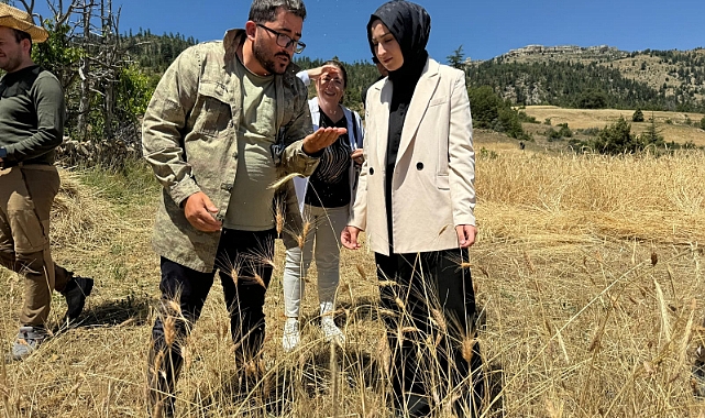 Göktepe Yatılı Bölge Ortaokulu'nda Buğday Hasadı Coşkusu