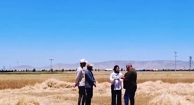 İl Müdürü Bulut hasat yapan üreticileri ziyaret etti