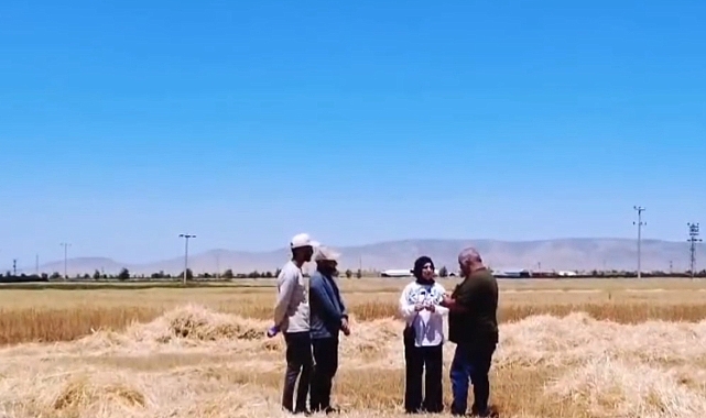 İl Müdürü Bulut hasat yapan üreticileri ziyaret etti