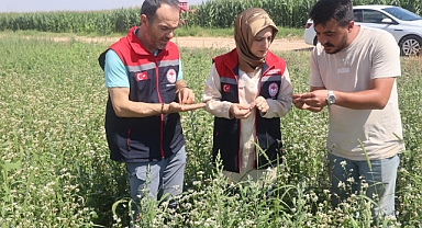 İl Müdürü Bulut Karabuğday Üreticisi Koyuncu’ya Ziyaret