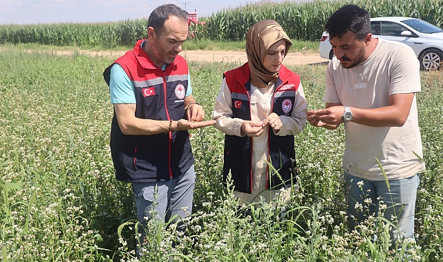İl Müdürü Bulut Karabuğday Üreticisi Koyuncu’ya Ziyaret