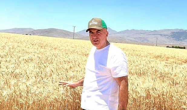 Karaman'da buğday ve arpa hasadında sona gelindi