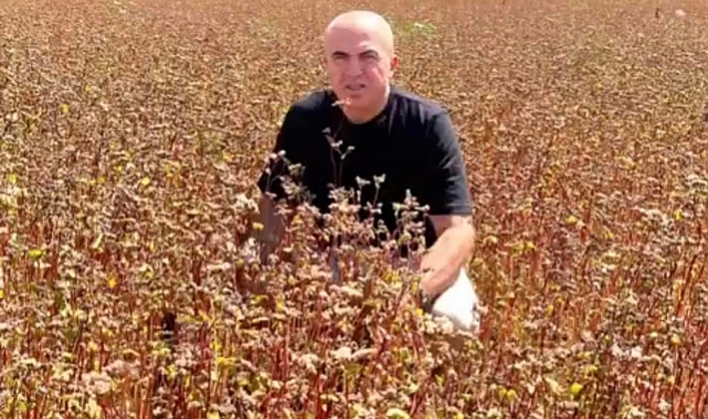 Karaman'da Karabuğday üretimine ilgi artıyor