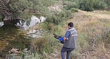 Tedavisi tamamlanan Karabatak, doğaya salındı