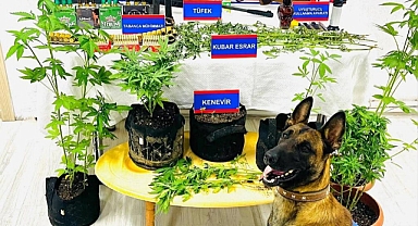 Uyuşturucu Satıcıları Erek'i hesaba katmadı