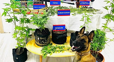 Uyuşturucu Satıcıları Erek'i hesaba katmadı