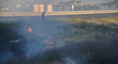 Yangında 40 dönüm ekili alan zarar gördü