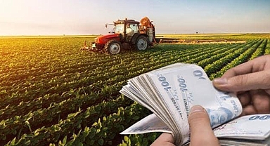 2024 Yılında Yapılacak Bitkisel Üretime Yönelik Desteklemeler İlişkin Karar Açıklandı..