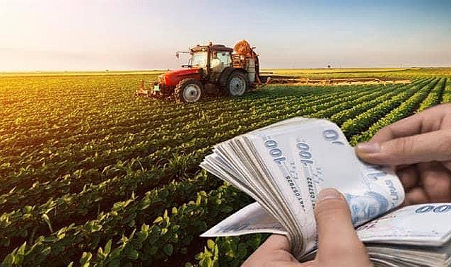 2024 Yılında Yapılacak Bitkisel Üretime Yönelik Desteklemeler  İlişkin Karar Açıklandı..