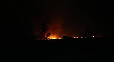 Anız yangını ormana sıçramadan söndürüldü