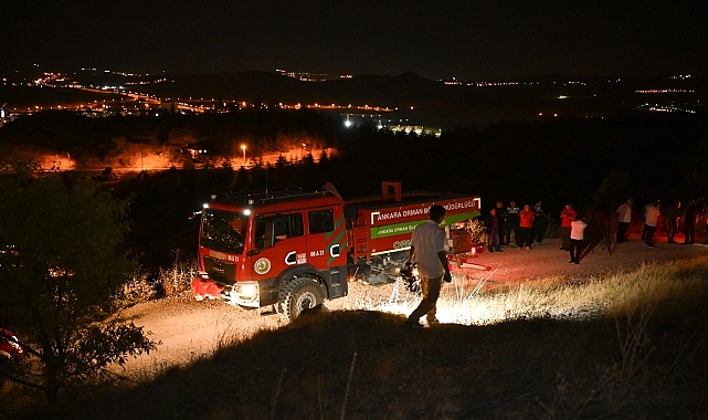 Dağlık alanda çıkan yangın söndürüldü