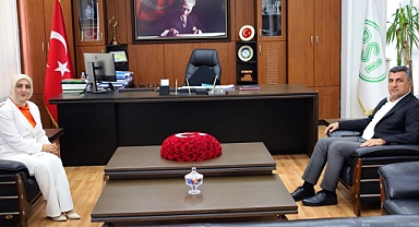 DSİ Bölge Müdürü Alp'e Karamanlılardan Ziyaret